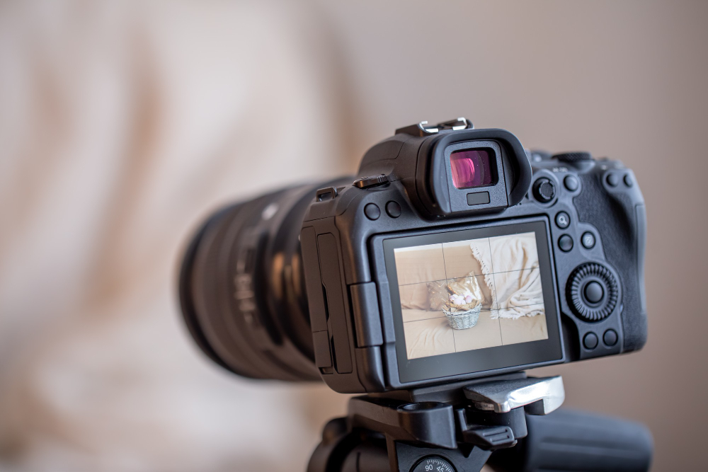 camera foto-video profesionala