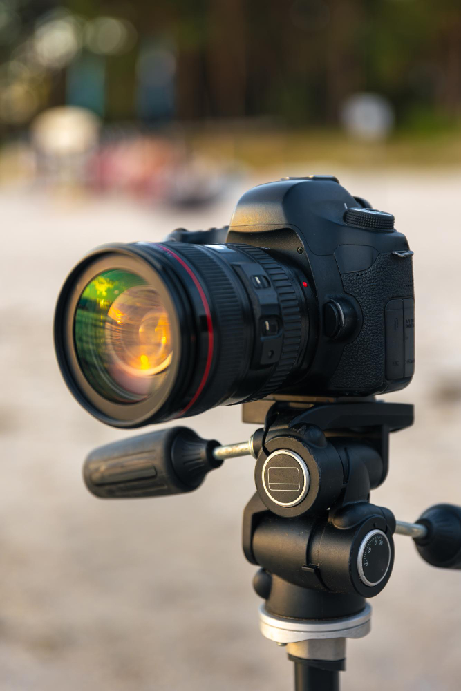 camera foto-video profesionala