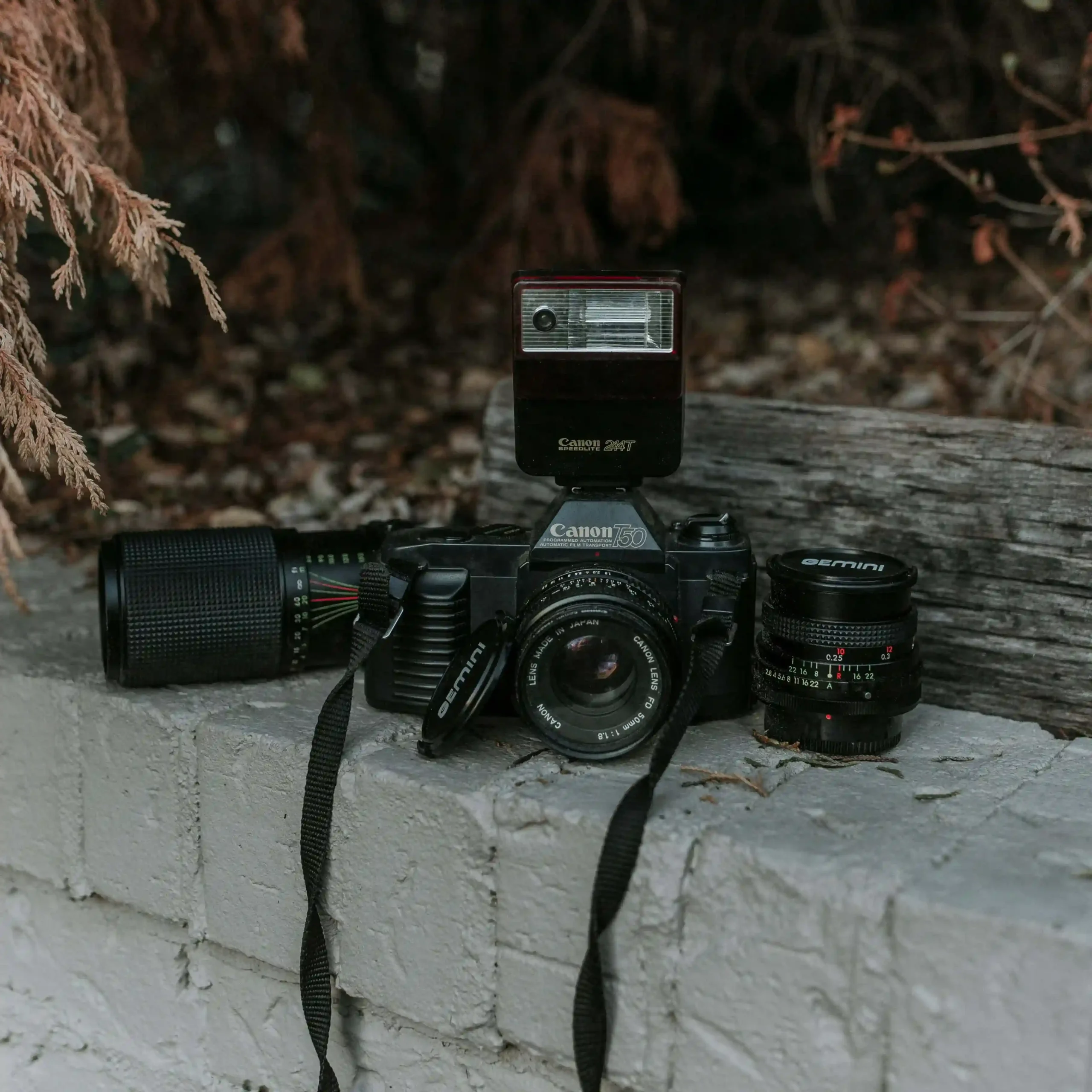 camera foto-video profesionala